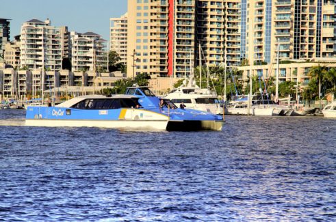 City Cat Brisbane Australia